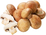 Braune Champignons Angebote von REWE Regional bei REWE Regensburg für 1,49 €