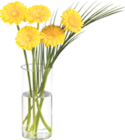 V-Markt - Mini-Gerbera Angebot im Prospekt Mini-Gerbera bei V-Markt im Prospekt "" für 3,99 €