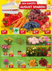 Pflanzen im Netto Marken-Discount Prospekt in Straubing Aktueller Netto Marken-Discount Prospekt mit Pflanzen, "Aktuelle Angebote", Seite 11