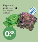 Kopfsalat grün im V-Markt Prospekt Kopfsalat grün von im aktuellen V-Markt Prospekt für 0,88 €