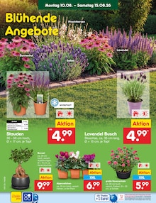 Blumen im aktuellen Netto Marken-Discount Prospekt (Hamburg) Blumen im Netto Marken-Discount Prospekt "Aktuelle Angebote" mit 76 Seiten (Hamburg)