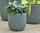 Hagebaumarkt Wörth - Pflanzgefäß „Shabby“ Angebot im Prospekt Pflanzgefäß „Shabby“ bei Hagebaumarkt im Wörth Prospekt für 14,99 €