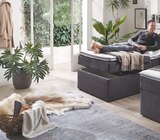 Boxbett ATHEN von Intro für 949,00 € bei Zurbrüggen im Angebot Boxbett ATHEN von Intro im aktuellen Zurbrüggen Prospekt