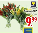 Tulpenstrauß XL im Angebot bei EDEKA in Regensburg Tulpenstrauß XL Angebote von EDEKA Herzstücke bei EDEKA Regensburg für 9,99 €
