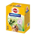 Promo Pedigree Dentastix Fresh Bâtonnets hygiène bucco-dentaire pour grand chien 28 pcs 1080 g à 16,29 € dans le catalogue Maxi Zoo à Péronne