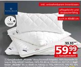 Aktuelles Ganzjahresbett Alcando Angebot bei Segmüller in Leverkusen ab 59,99 €