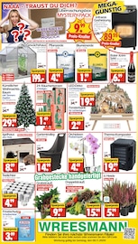 Aktueller Wreesmann Prospekt mit Blumenerde, "DEIN SAISON- & SONDERPOSTENMARKT!", Seite 12