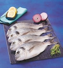 Daurade royale d'aquaculture en promo chez Super U Dijon à 9,60 €