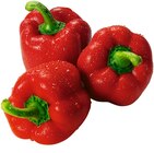 Rote Paprika Angebote bei REWE Monheim für 1,19 €
