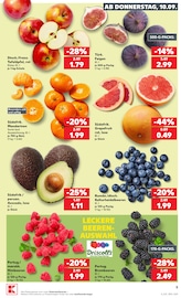 Äpfel im Kaufland Prospekt in Frankenthal Aktueller Kaufland Prospekt mit Äpfel, "Hier bin ich richtig", Seite 5
