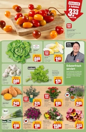 Bio im REWE Prospekt in Bad Homburg Aktueller REWE Prospekt mit Bio, "Dein Markt", Seite 7