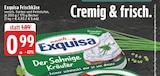 EDEKA Soest - Frischkäse Angebot im Prospekt Frischkäse bei EDEKA im Soest Prospekt für 0,99 €