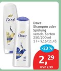 Shampoo von Dove im aktuellen budni Prospekt für 2,29 €