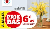 Bouquet Mimosa - U dans le catalogue Hyper U