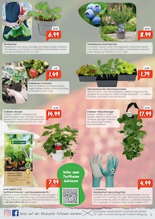 Gemüse im Raiffeisen Rhein-Ahr-Eifel Handelsgesellschaft mbH Prospekt "Frühlingsfrisch in die Gartensaison" mit 8 Seiten (Bonn)