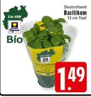 EDEKA Niederkrüchten - Basilikum Angebot im Prospekt Basilikum bei EDEKA im Niederkrüchten Prospekt für 1,49 €
