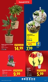 Jardinage Angebote im Prospekt "Le blanc" von Lidl auf Seite 31