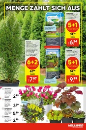Rindenmulch im Hellweg Prospekt in Osnabrück Aktueller Hellweg Prospekt mit Rindenmulch, "Die Profi-Baumärkte", Seite 3