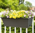 Angebot im Hagebaumarkt Bentwisch Prospekt Hagebaumarkt Bentwisch Prospekt mit im Angebot für 9,99 €