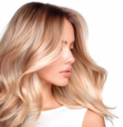 Haartrockner mit Stylingdüse im Netto Marken-Discount Prospekt Haartrockner mit Stylingdüse von VITALMAXX im aktuellen Netto Marken-Discount Prospekt für 9,99 €