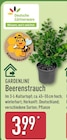 Beerenstrauch Angebot im ALDI Nord Prospekt Beerenstrauch im ALDI Nord Prospekt zum Preis von 3,99 €