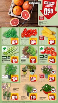 Küche im REWE Prospekt "Dein Markt" mit 18 Seiten (Bergisch Gladbach)
