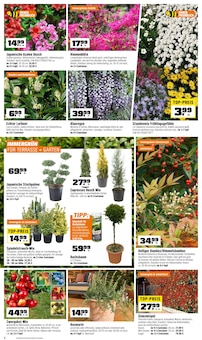 Aktueller OBI Prospekt "BIBERSTARKE ANGEBOTE" Aktueller OBI Prospekt