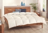 Couette en plumes et duvet - Novitesse - Aldi à Montrouge Couette en plumes et duvet - Novitesse en promo chez Aldi Montrouge à 69,99 €