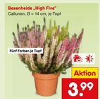 Besenheide „High Five“ im Netto Marken-Discount Prospekt Besenheide „High Five“ von im aktuellen Netto Marken-Discount Prospekt für 3,99 €