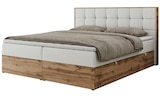 Boxbett mit Bettkasten Albero 1 Angebot im Höffner Prospekt Boxbett mit Bettkasten Albero 1 im Höffner Prospekt zum Preis von 995,00 €