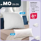 Kopfkissen ca. 40 x 80 cm Angebote bei Netto mit dem Scottie Dessau-Roßlau für 8,99 €
