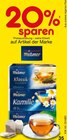 20% im Netto Marken-Discount Prospekt 20% von Meßmer im aktuellen Netto Marken-Discount Prospekt für