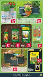 Aktueller Netto mit dem Scottie Prospekt mit Blumentopf, "Günstig. Besser. Für Dich.", Seite 19
