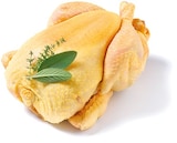 Frisches spanisches Maishähnchen für 4,99 € bei Netto mit dem Scottie im Angebot Frisches spanisches Maishähnchen im aktuellen Netto mit dem Scottie Prospekt