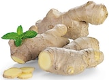Bio Ingwer im Angebot bei REWE in Hannover Bio Ingwer Angebote bei REWE Hannover für 0,49 €