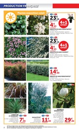 Photinia Angebote im Prospekt "Super U" von Super U Photinia Angebote im Prospekt "Super U" von Super U auf Seite 2