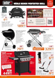 Gasgrill Angebot im aktuellen Selgros Prospekt auf Seite 21