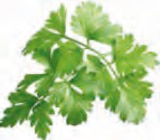 Dicke Fleischrippe Angebote bei EDEKA Pinneberg für 5,99 €