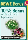 Angebot im REWE Bad Fallingbostel Prospekt REWE Bad Fallingbostel Prospekt mit im Angebot für