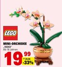 MINI-ORCHIDEE im Angebot bei E center in Kirchheim MINI-ORCHIDEE Angebote von LEGO bei E center Kirchheim für 19,99 €