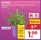 Lavendel Angebote bei Netto Marken-Discount Ingolstadt für 1,99 €
