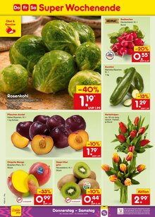 Pflanzen im Netto Marken-Discount Prospekt "Aktuelle Angebote" mit 70 Seiten (Regensburg)
