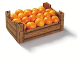 Mandarinen/Clementinen im aktuellen Lidl Prospekt