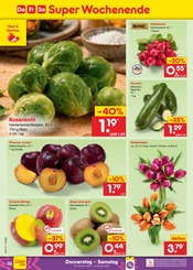 Mango im Netto Marken-Discount Prospekt in Celle Aktueller Netto Marken-Discount Prospekt mit Mango, "Aktuelle Angebote", Seite 48