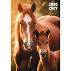 Agenda scolaire Animaux - Carrefour Market à Tourcoing Agenda scolaire Animaux en promo chez Carrefour Market Tourcoing à 1,99 €