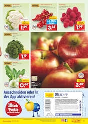 Kohle im Netto Marken-Discount Prospekt in Gera Aktueller Netto Marken-Discount Prospekt mit Kohle, "Aktuelle Angebote", Seite 13