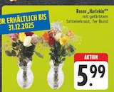 Rosen Harlekin bei EDEKA im Schwarzenbach Prospekt für 5,99 €