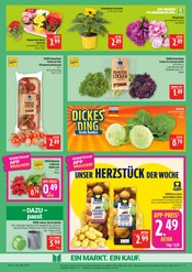 Aktueller Marktkauf Prospekt mit Kartoffeln, "AUSWAHL RIESIG, PREISE NIEDRIG", Seite 9