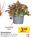 Angebot im toom Baumarkt Berg (Neumarkt) Prospekt toom Baumarkt Berg (Neumarkt) Prospekt mit  im Angebot für 3,49 €
