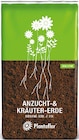 Anzucht- und Kräutererde Angebote von Plantaflor bei Netto mit dem Scottie Eberswalde für 2,90 €